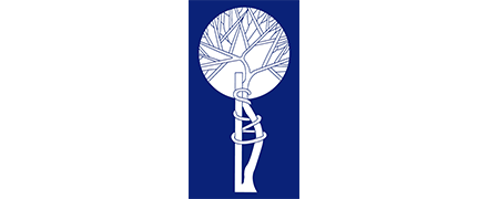 Southern Orthopaedic Association logo